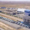 В Жамбылской области увеличилось производство минеральных удобрений в 3,2 раза