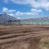 В Карагандинской области на проектах АПК создают новые рабочие места